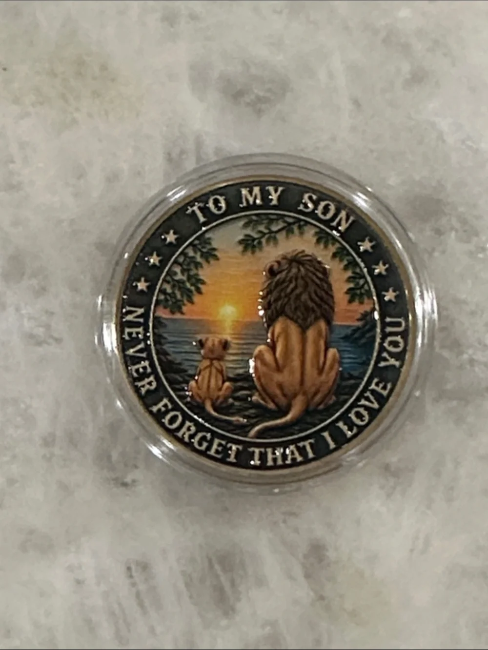 Sentimental Lion & Cub Keepsake Coin - Sunset Design